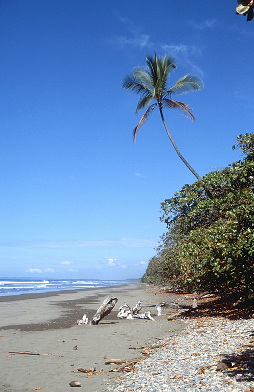 41_Playa Dominical.jpg